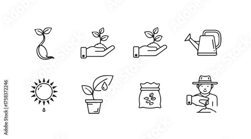 Hand drawn growing plants life cycle icons set agriculture gardening nature botany vector