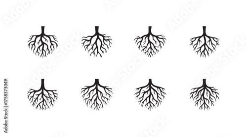 Set of eight detailed tree root systems visualizing growth and connection concepts vector
