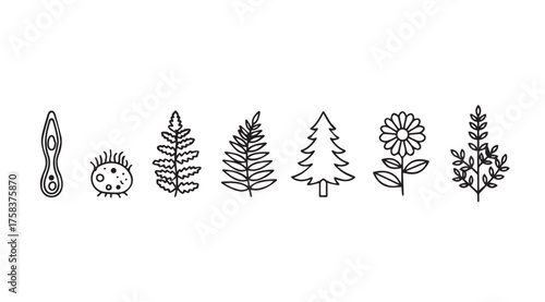 Hand drawn botanical elements collection simple nature sketch drawings for creative projects vector
