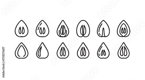 Set of line art water droplets with inner segments showing different internal structures and variations vector