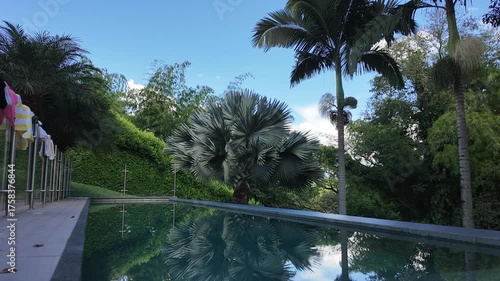 A pool and palm trees at Cocora Valley national park, time lapse