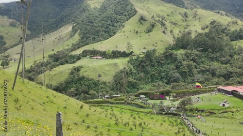 Green Cocora Valley national park 
