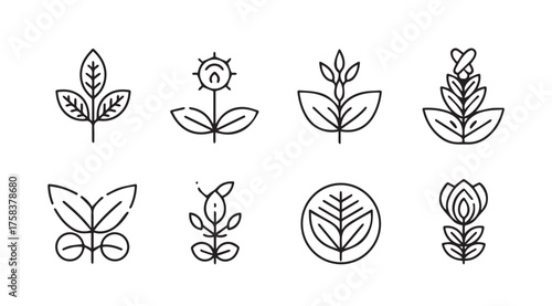 Collection of hand-drawn botanical elements rustic nature designs for organic branding and design projects vector