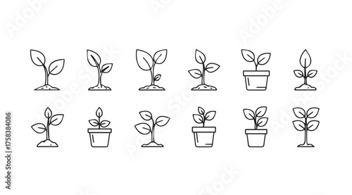 Set of hand-drawn sprouts growing in pots and soil illustrating growth and nature vector