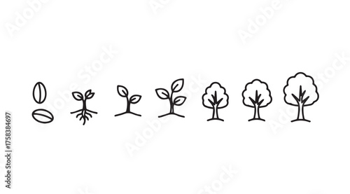 Stages of plant growth from seedling to mature tree icon set vector