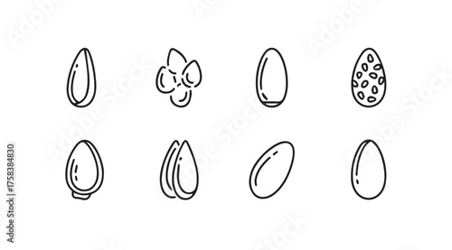 Collection of hand-drawn almonds and seeds in various stages of preparation and texture vector