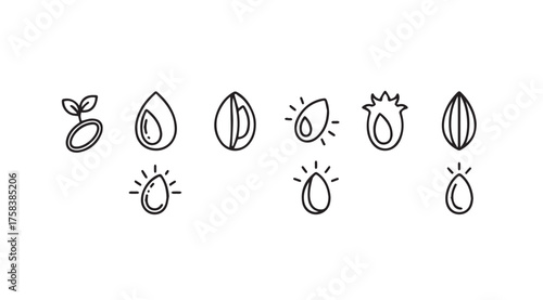 Hand drawn seed and droplet icons representing growth vitality and natural essence for health and wellness vector