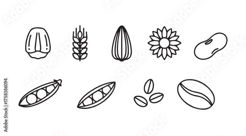 Hand drawn icons set featuring grains seeds nuts beans coffee beans and sunflower for healthy food concepts vector
