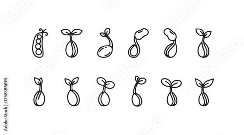Collection of seedlings sprouting showing growth stages botanical icons simple line art abstract nature vector