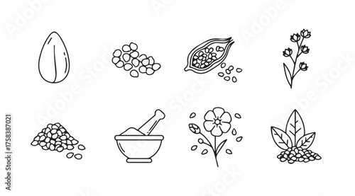 Botanical ingredients hand drawn sketch collection natural herbs spices seeds and flowers vector
