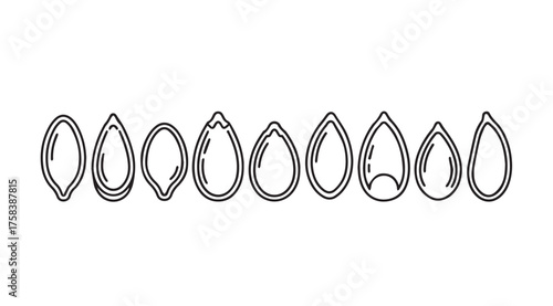 Collection of elegant gemstone shapes and cuts rendered in detailed outline style vector