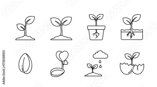 Hand drawn seedling growth stages icons representing plant life cycle and new beginnings vector