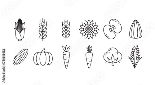 Collection of hand-drawn agricultural produce icons representing harvest and food staples vector