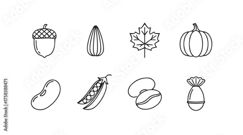 Hand-drawn autumn harvest icons featuring acorn pumpkin almond leaf bean pea coffee bean and nuts vector