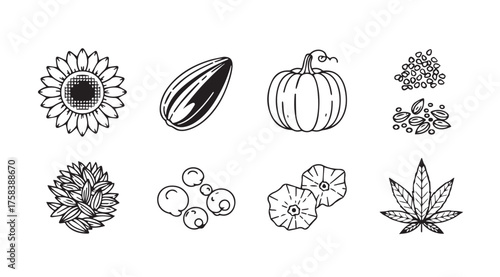 Whimsical hand drawn autumn harvest elements for seasonal designs vector