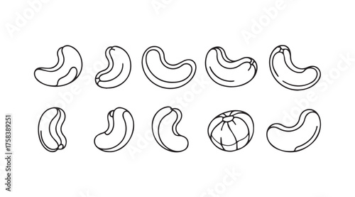 Canvastavla Hand drawn sketch style cashew nuts assortment isolated on food ingredient line