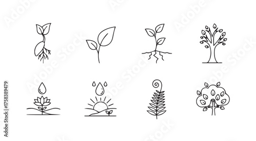 Seedling growth stages and mature tree lifecycle icons hand drawn botanical elements vector