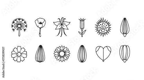 Collection of hand drawn botanical floral icons representing diverse wildflowers and seeds vector