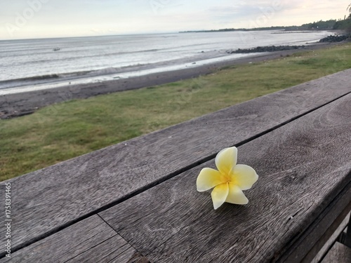 Frangipani blossom on a wooden railing overlooks a serene beach landscape