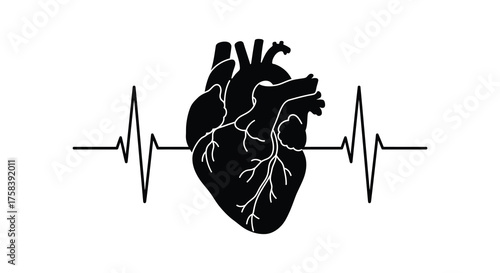 Anatomical heart silhouette superimposed on a stark electrocardiogram heartbeat line silhouette