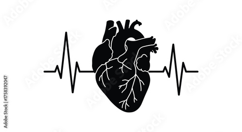 Anatomical heart silhouette with a prominent electrocardiogram heartbeat line representing life and health silhouette