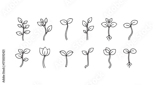 Hand drawn seedling growth stages diverse collection artistic botanical sprouts nature elements vector