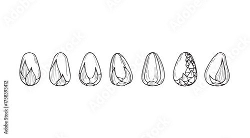 A row of hand drawn sketches of delicate crystal fragments showing unique facets and textures vector