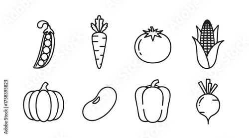 Hand drawn sketch collection of fresh vegetables for healthy eating and culinary designs vector