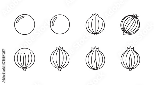 Hand drawn sketch style line art icons of round objects and onions for culinary and food designs vector