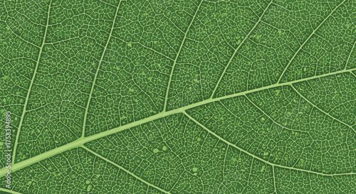 An intricately detailed close-up shot of a vibrant green leaf, showcasing its delicate veins and textured surface.