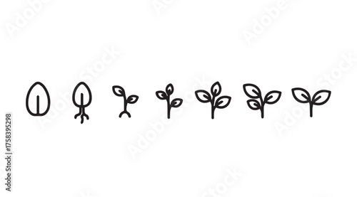 Seedling growth stages represented by simple outline icons showing plant development vector