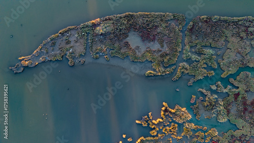 Foto An aerial view of a wetland shoreline at dusk showing calm dark water and a floc