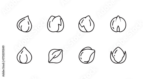 Hand drawn hazelnut icons set simple line art nut illustrations for healthy food designs vector