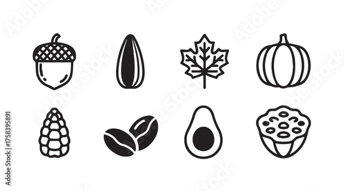 Collection of nature and food icons acorn sunflower seed maple leaf pumpkin avocado vector