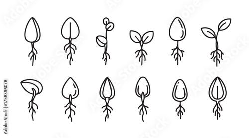 Hand drawn seedling growth stages set botanical line art icons natural plant development progression elements vector