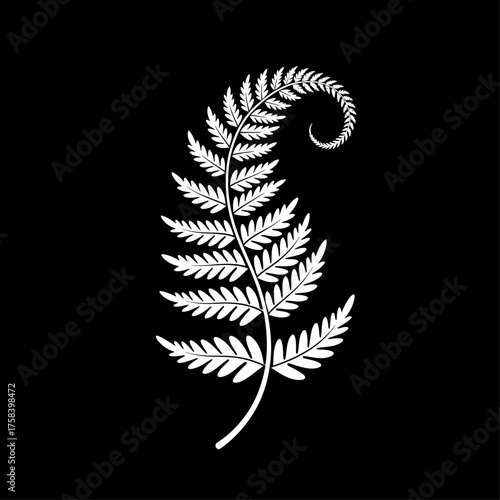 Stylized White Fern Frond Illustration with Spiral Tip on Black Background