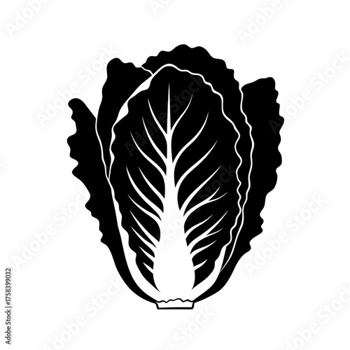 Black and white silhouette icon of a Chinese cabbage head, vector illustration of healthy vegetable food.