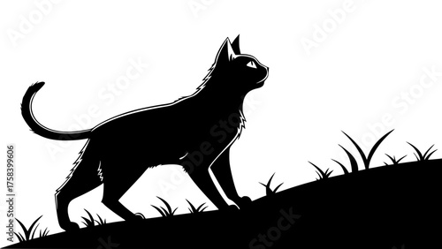 Black Cat Strolling on Hill Under Full Moon Silhouette