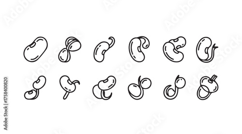 Collection of hand drawn sketch style beans and seeds variety artistic rendering food elements vector