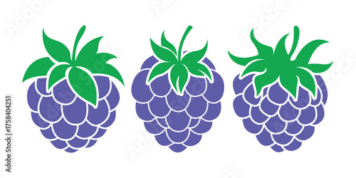 Berry Vector Set. Flat Minimalist Blackberry Illustration