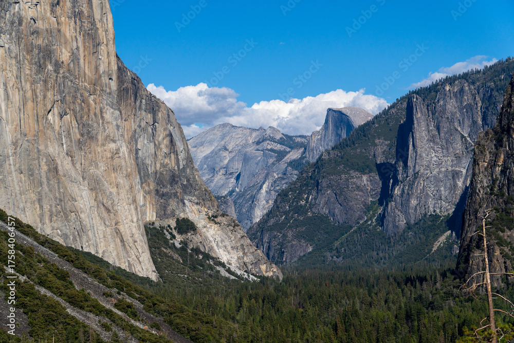 Fototapeta premium Iconic Yosemite Valley vista featuring El Capitan, Half Dome, and dense green forests.