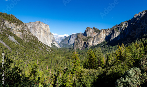Canvas Print Grand Vista of Yosemite Valley, El Capitan, Half Dome, and lush pine forests