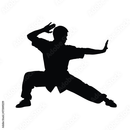 Silhouette of a man in a martial arts stance with hands raised on a white background pose