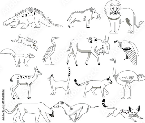 wild animals collection