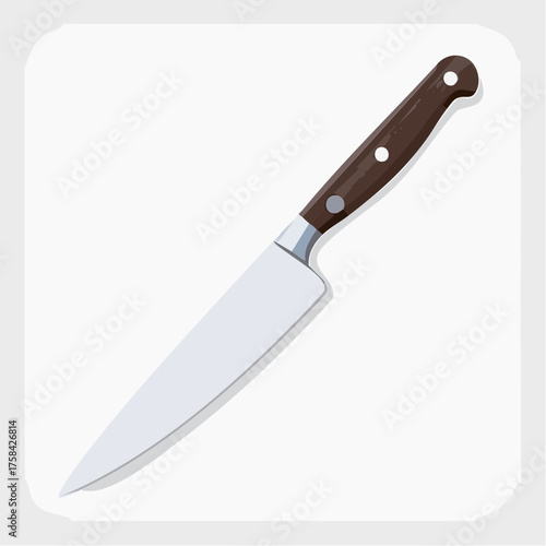 Chef's kitchen knife