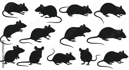 Collection of mouse silhouettes isolated on white background