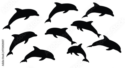 Collection of dolphin silhouettes jumping isolated on white background