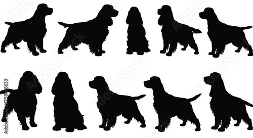 Collection of cocker spaniel dog silhouettes isolated on white background