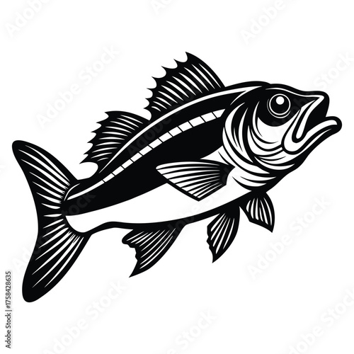 Black and white illustration of a predatory fish with open mouth and detailed fins