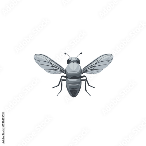 Stylized gray fly, isolated on a white background, clean design, copy space